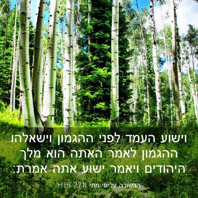 Picture 03 - הבשורה על־פי מתי 27:11 HEB - וישוע העמד לפני ההגמון - Bible Verse Picture