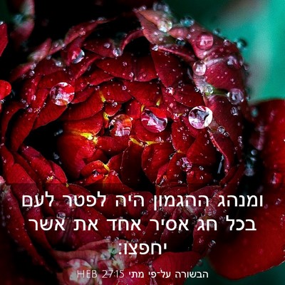 Picture 03 - הבשורה על־פי מתי 27:15 HEB - ומנהג ההגמון היה לפטר לעם - Bible Verse Picture