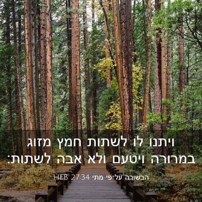 Picture 03 - הבשורה על־פי מתי 27:34 HEB - ויתנו לו לשתות חמץ מזוג - Bible Verse Picture