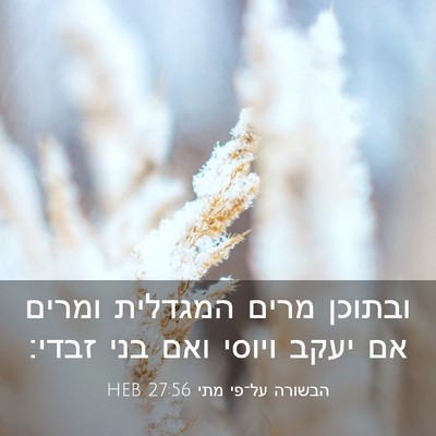 Picture 03 - הבשורה על־פי מתי 27:56 HEB - ובתוכן מרים המגדלית ומרים - Bible Verse Picture