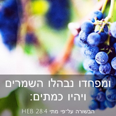 Picture 03 - הבשורה על־פי מתי 28:4 HEB - ומפחדו נבהלו השמרים ויהיו - Bible Verse Picture
