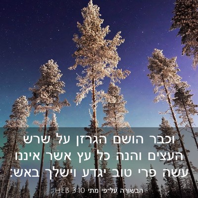 Picture 03 - הבשורה על־פי מתי 3:10 HEB - וכבר הושם הגרזן על שרש - Bible Verse Picture