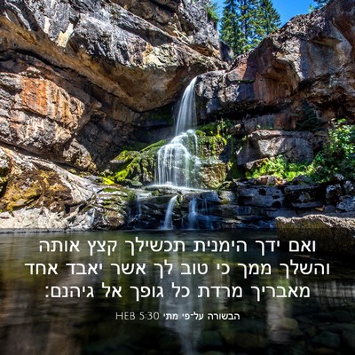 Picture 03 - הבשורה על־פי מתי 5:30 HEB - ואם ידך הימנית תכשילך קצץ - Bible Verse Picture