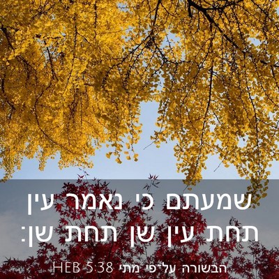 Picture 03 - הבשורה על־פי מתי 5:38 HEB - שמעתם כי נאמר עין תחת עין - Bible Verse Picture