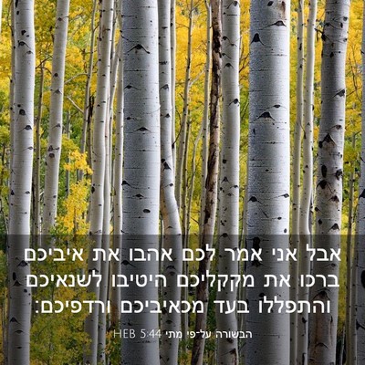 Picture 03 - הבשורה על־פי מתי 5:44 HEB - אבל אני אמר לכם אהבו את - Bible Verse Picture