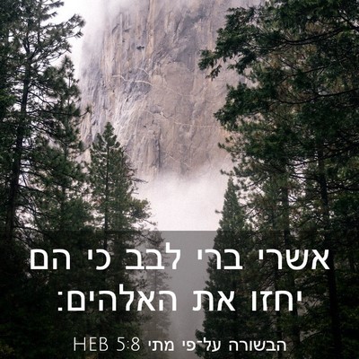 Picture 03 - הבשורה על־פי מתי 5:8 HEB - אשרי ברי לבב כי הם יחזו את - Bible Verse Picture