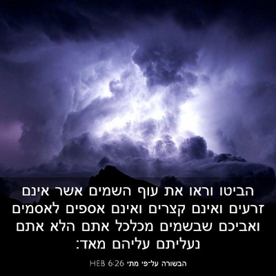 Picture 03 - הבשורה על־פי מתי 6:26 HEB - הביטו וראו את עוף השמים אשר - Bible Verse Picture