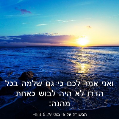 Picture 03 - הבשורה על־פי מתי 6:29 HEB - ואני אמר לכם כי גם שלמה בכל - Bible Verse Picture