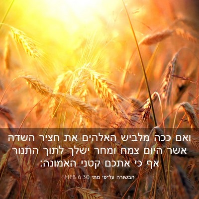 Picture 03 - הבשורה על־פי מתי 6:30 HEB - ואם ככה מלביש האלהים את - Bible Verse Picture