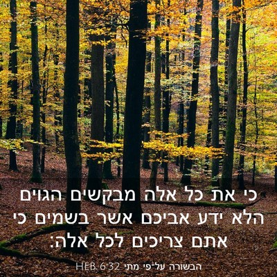 Picture 03 - הבשורה על־פי מתי 6:32 HEB - כי את כל אלה מבקשים הגוים - Bible Verse Picture