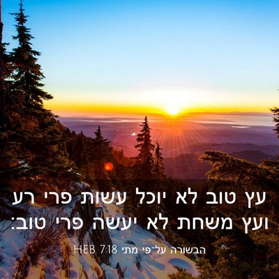 Picture 03 - הבשורה על־פי מתי 7:18 HEB - עץ טוב לא יוכל עשות פרי רע - Bible Verse Picture