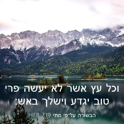 Picture 03 - הבשורה על־פי מתי 7:19 HEB - וכל עץ אשר לא יעשה פרי טוב - Bible Verse Picture