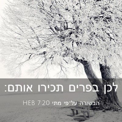 Picture 03 - הבשורה על־פי מתי 7:20 HEB - לכן בפרים תכירו - Bible Verse Picture