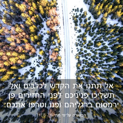 Picture 03 - הבשורה על־פי מתי 7:6 HEB - אל תתנו את הקדש לכלבים ואל - Bible Verse Picture