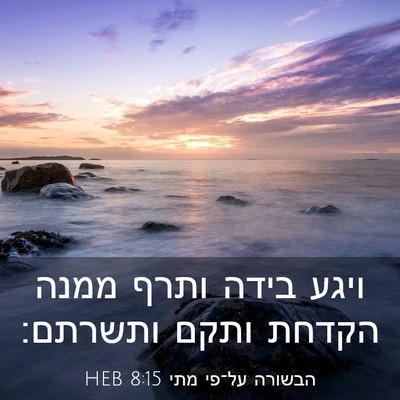 Picture 03 - הבשורה על־פי מתי 8:15 HEB - ויגע בידה ותרף ממנה הקדחת - Bible Verse Picture