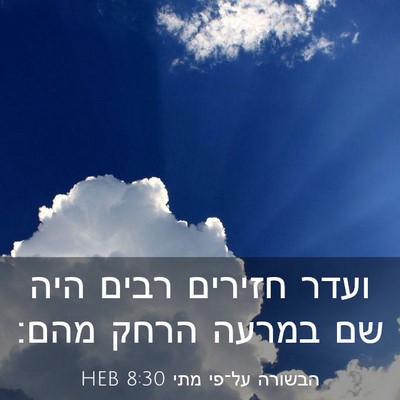 Picture 03 - הבשורה על־פי מתי 8:30 HEB - ועדר חזירים רבים היה שם - Bible Verse Picture