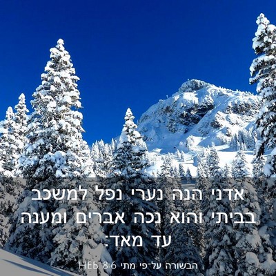 Picture 03 - הבשורה על־פי מתי 8:6 HEB - אדני הנה נערי נפל למשכב - Bible Verse Picture