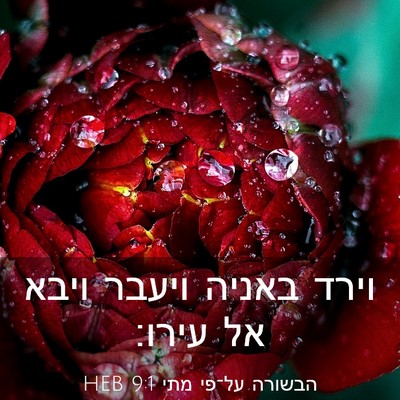 Picture 03 - הבשורה על־פי מתי 9:1 HEB - וירד באניה ויעבר ויבא אל - Bible Verse Picture
