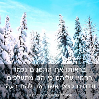 Picture 03 - הבשורה על־פי מתי 9:36 HEB - ובראותו את ההמנים נכמרו - Bible Verse Picture