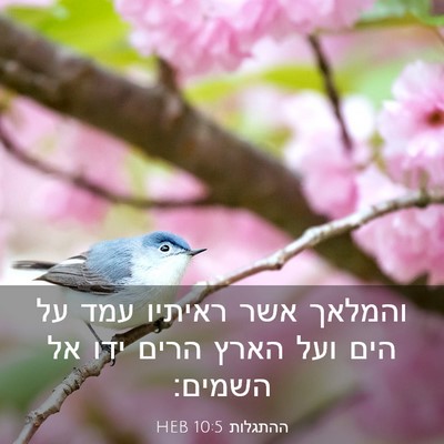 Picture 03 - ההתגלות 10:5 HEB - והמלאך אשר ראיתיו עמד על - Bible Verse Picture