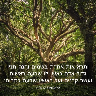 Picture 03 - ההתגלות 12:3 HEB - ותרא אות אחרת בשמים והנה - Bible Verse Picture