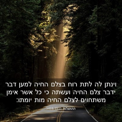 Picture 03 - ההתגלות 13:15 HEB - וינתן לה לתת רוח בצלם החיה - Bible Verse Picture