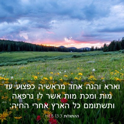 Picture 03 - ההתגלות 13:3 HEB - וארא והנה אחד מראשיה כפצוע - Bible Verse Picture