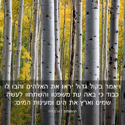Picture 03 - ההתגלות 14:7 HEB - ויאמר בקול גדול יראו את - Bible Verse Picture