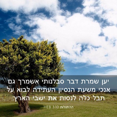 Picture 03 - ההתגלות 3:10 HEB - יען שמרת דבר סבלנותי אשמרך - Bible Verse Picture