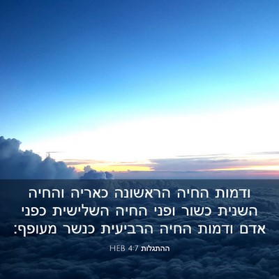 Picture 03 - ההתגלות 4:7 HEB - ודמות החיה הראשונה כאריה - Bible Verse Picture