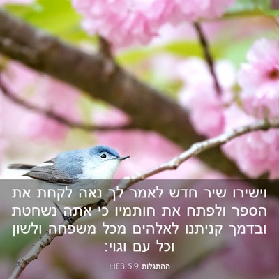 Picture 03 - ההתגלות 5:9 HEB - וישירו שיר חדש לאמר לך נאה - Bible Verse Picture
