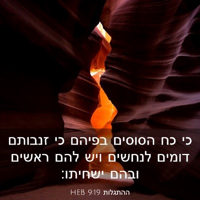 Picture 03 - ההתגלות 9:19 HEB - כי כח הסוסים בפיהם כי - Bible Verse Picture