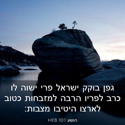 Picture 03 - הושע 10:1 HEB - גפן בוקק ישראל פרי ישוה לו - Bible Verse Picture