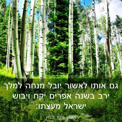 Picture 03 - הושע 10:6 HEB - גם אותו לאשור יובל מנחה - Bible Verse Picture