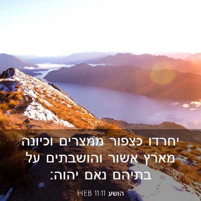 Picture 03 - הושע 11:11 HEB - יחרדו כצפור ממצרים וכיונה - Bible Verse Picture