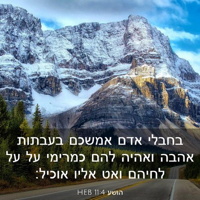 Picture 03 - הושע 11:4 HEB - בחבלי אדם אמשכם בעבתות - Bible Verse Picture