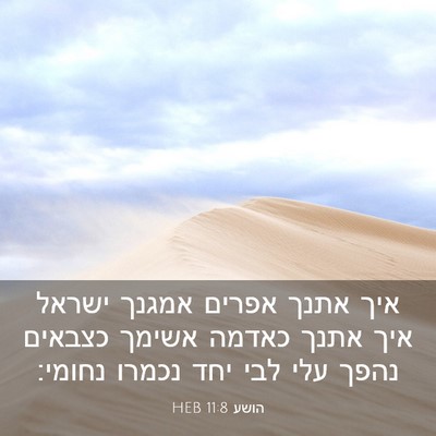 Picture 03 - הושע 11:8 HEB - איך אתנך אפרים אמגנך ישראל - Bible Verse Picture