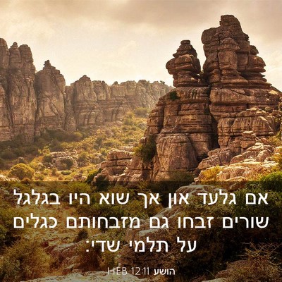 Picture 03 - הושע 12:11 HEB - אם גלעד און אך שוא היו - Bible Verse Picture
