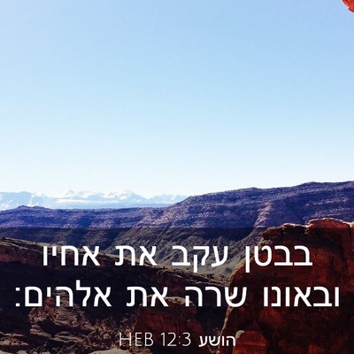 Picture 03 - הושע 12:3 HEB - בבטן עקב את אחיו ובאונו שרה - Bible Verse Picture