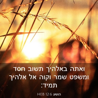 Picture 03 - הושע 12:6 HEB - ואתה באלהיך תשוב חסד ומשפט - Bible Verse Picture