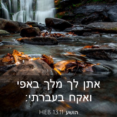 Picture 03 - הושע 13:11 HEB - אתן לך מלך באפי ואקח - Bible Verse Picture