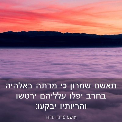 Picture 03 - הושע 13:16 HEB - תאשם שמרון כי מרתה באלהיה - Bible Verse Picture
