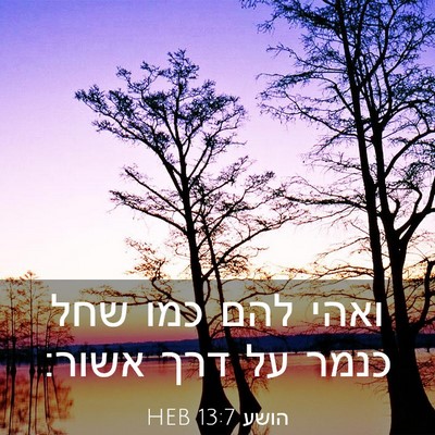 Picture 03 - הושע 13:7 HEB - ואהי להם כמו שחל כנמר על - Bible Verse Picture