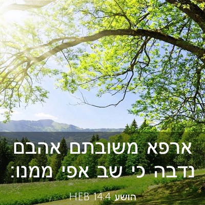 Picture 03 - הושע 14:4 HEB - ארפא משובתם אהבם נדבה כי שב - Bible Verse Picture