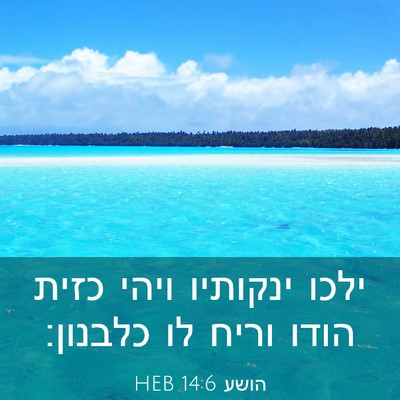Picture 03 - הושע 14:6 HEB - ילכו ינקותיו ויהי כזית - Bible Verse Picture