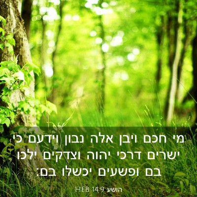 Picture 03 - הושע 14:9 HEB - מי חכם ויבן אלה נבון וידעם - Bible Verse Picture