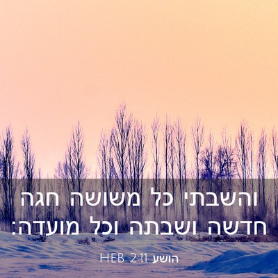 Picture 03 - הושע 2:11 HEB - והשבתי כל משושה חגה חדשה - Bible Verse Picture