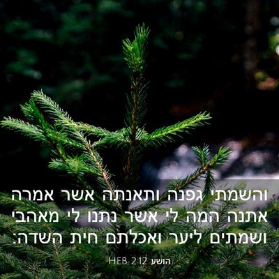 Picture 03 - הושע 2:12 HEB - והשמתי גפנה ותאנתה אשר - Bible Verse Picture