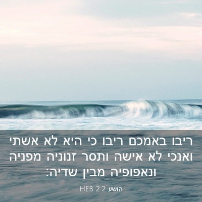 Picture 03 - הושע 2:2 HEB - ריבו באמכם ריבו כי היא לא - Bible Verse Picture