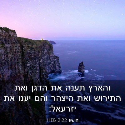 Picture 03 - הושע 2:22 HEB - והארץ תענה את הדגן ואת - Bible Verse Picture